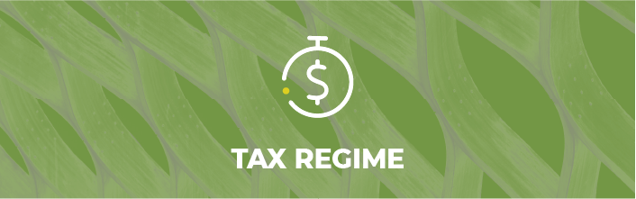 Tax Regime
